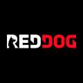 RedDog casino NZ logo